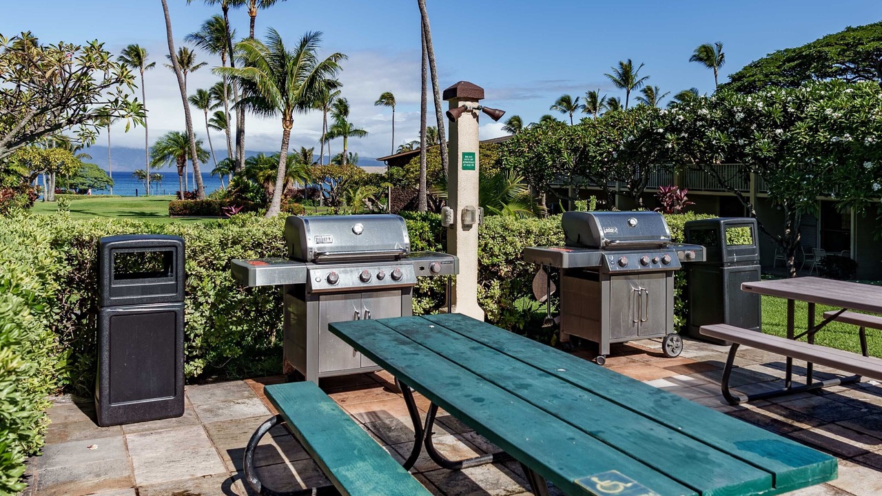 Photo of Outdoor in Napili