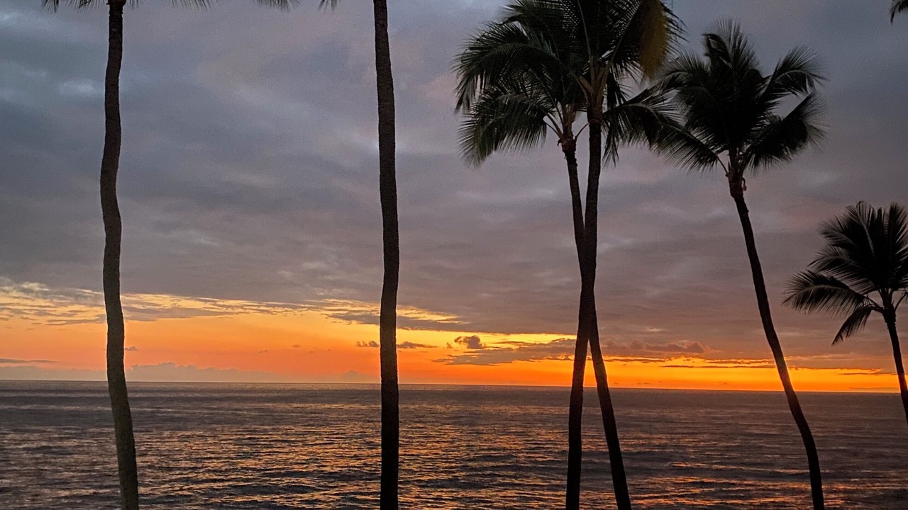Photo of Others in Kahaluu Bay