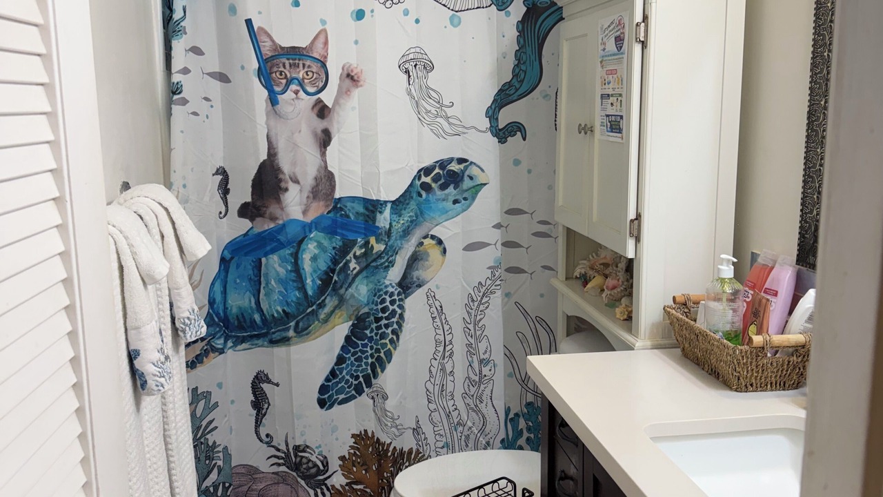 Photo of Bathroom in Punaluu