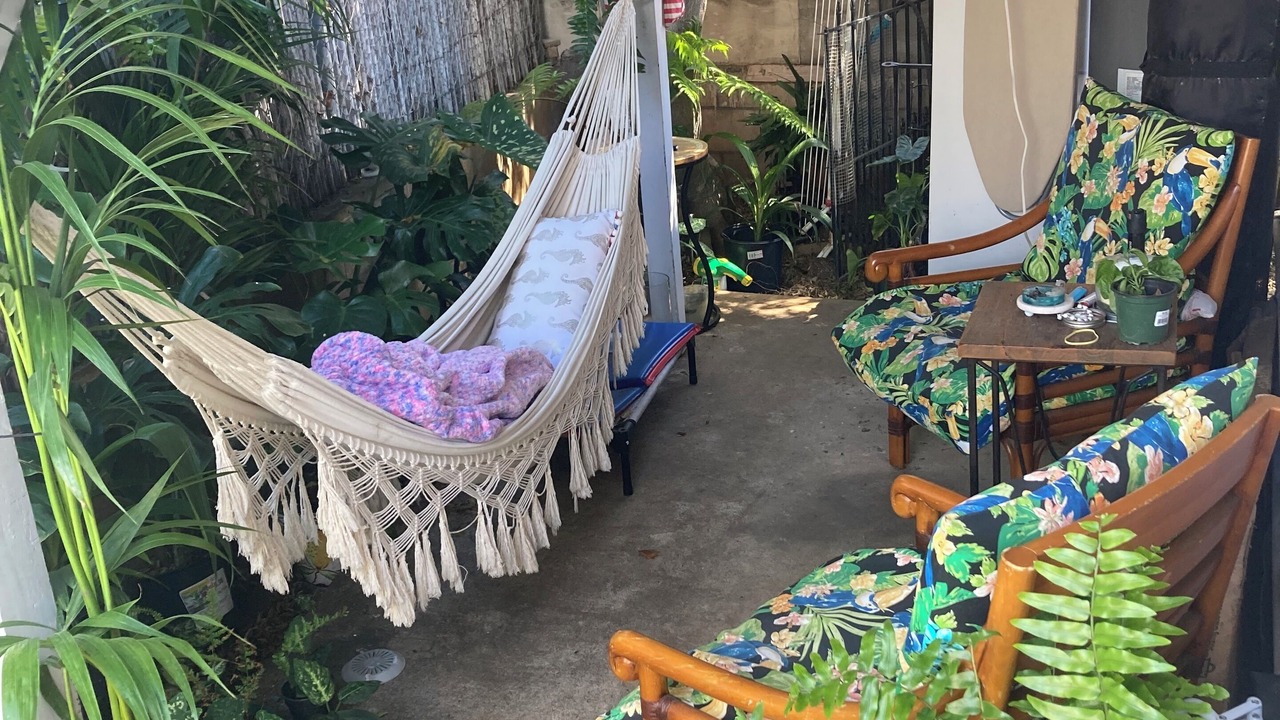 Photo of Outdoor in McCully - Moiliili