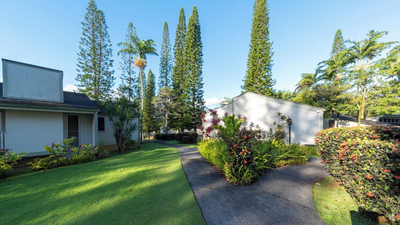 Photo of Others in Princeville