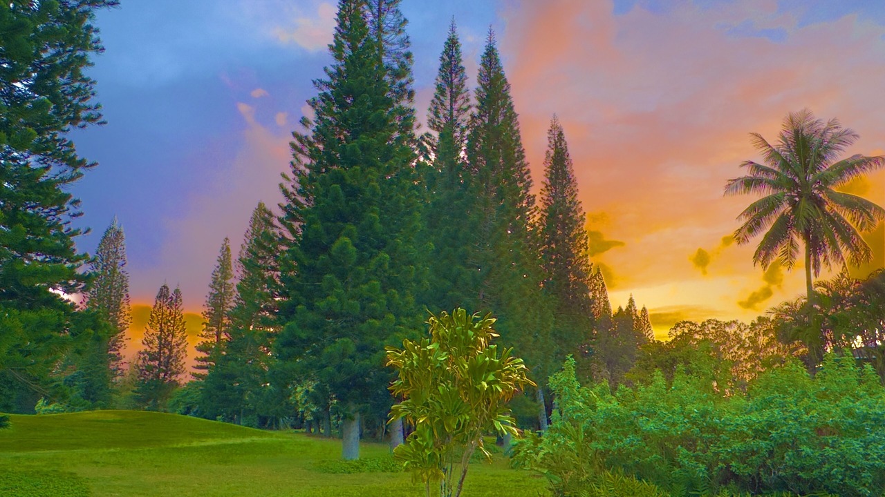 Photo of Others in Princeville