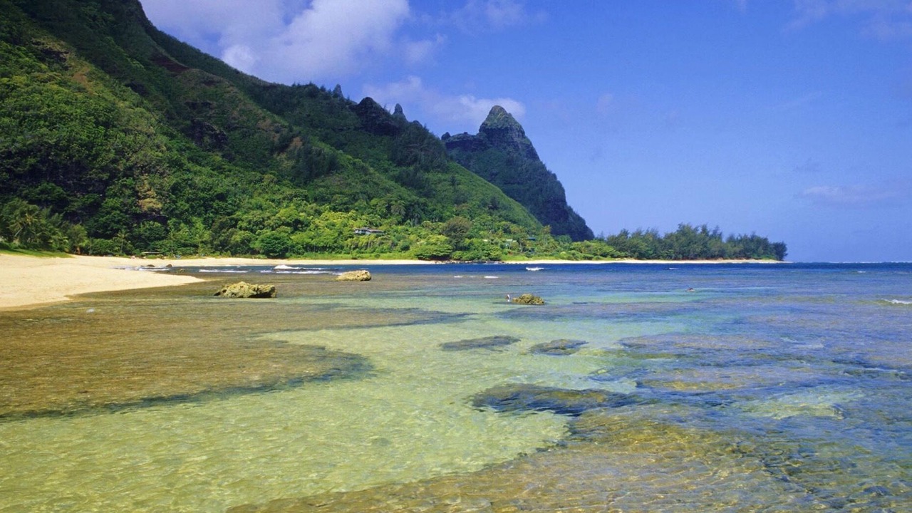 Photo of Others in Princeville