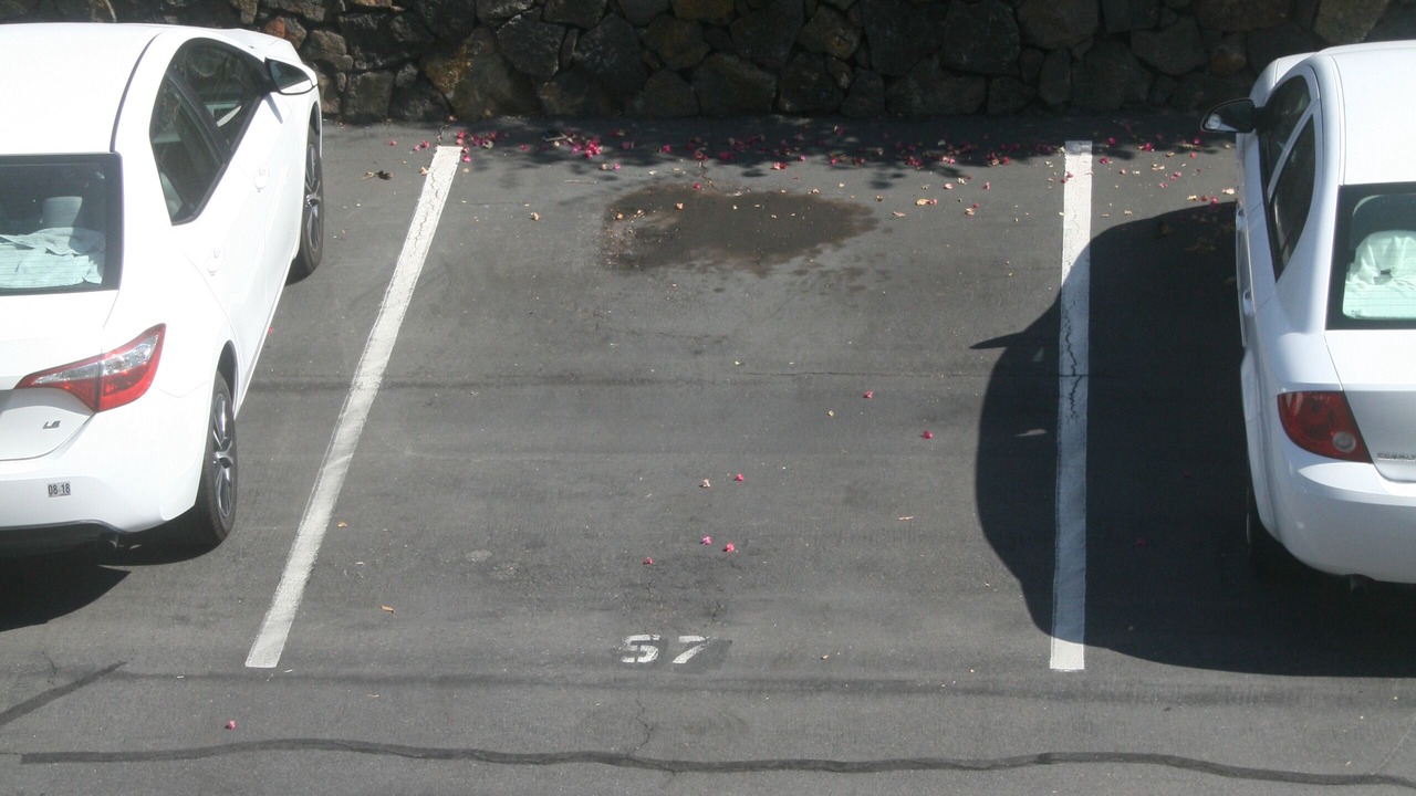 Photo of Others in Historic Kailua Village