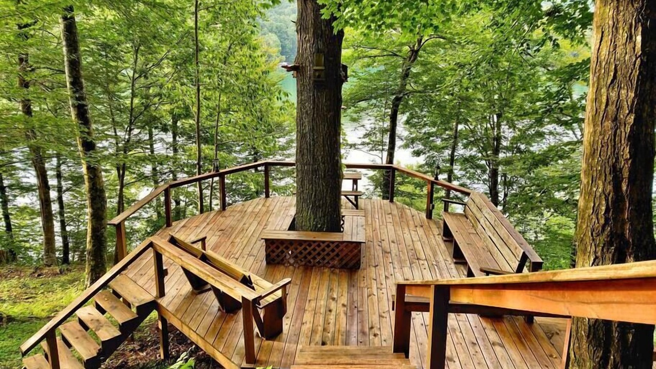 Photo of Outdoor in Topton