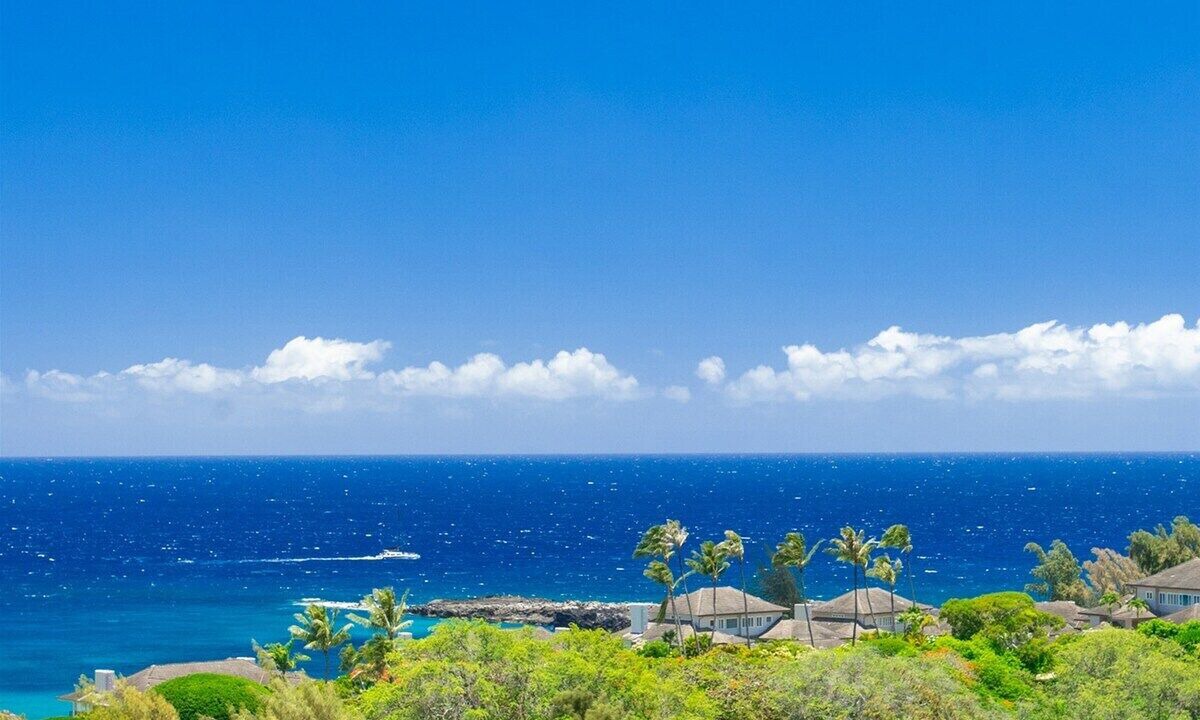 Photo of Others in Kapalua