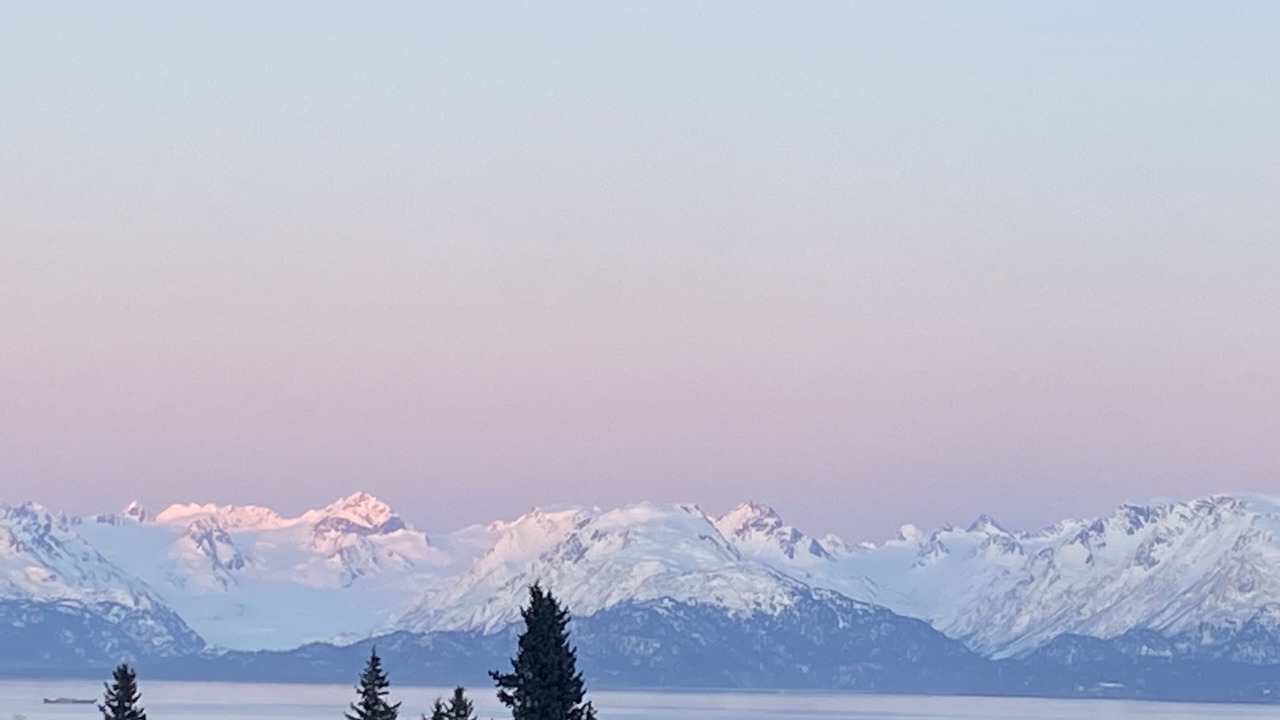 Photo of Others in Homer