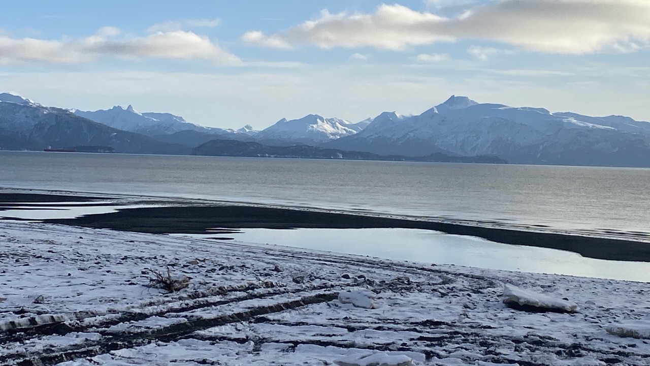 Photo of Others in Homer