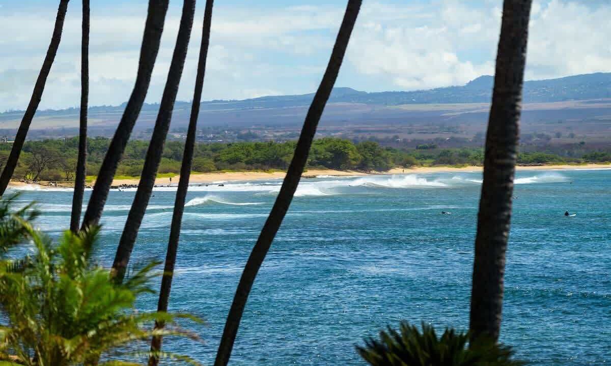 Photo of Others in Maalaea