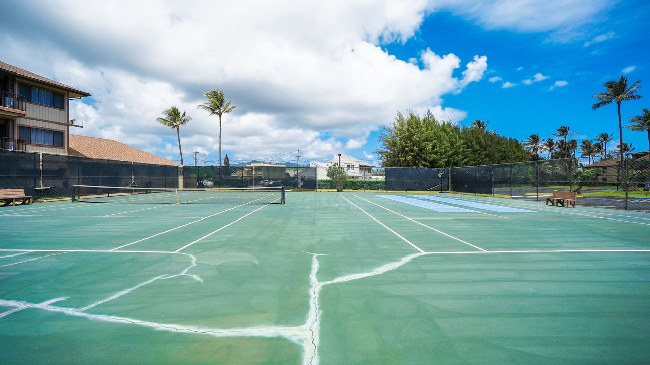 Photo of Others in Kapaa