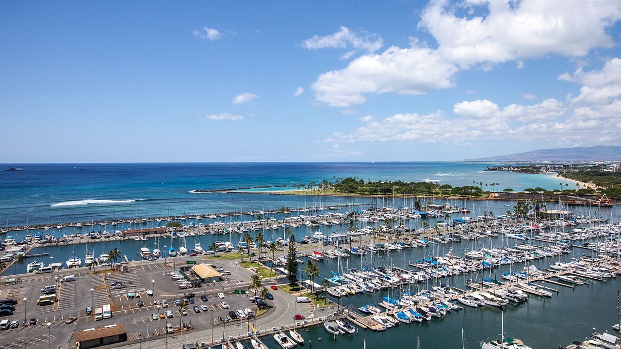 Photo of Others in Waikiki
