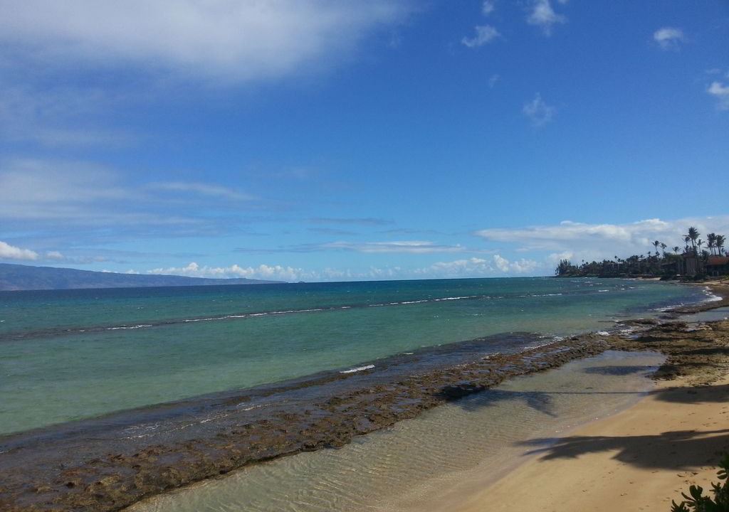 Photo of Others in Honokowai