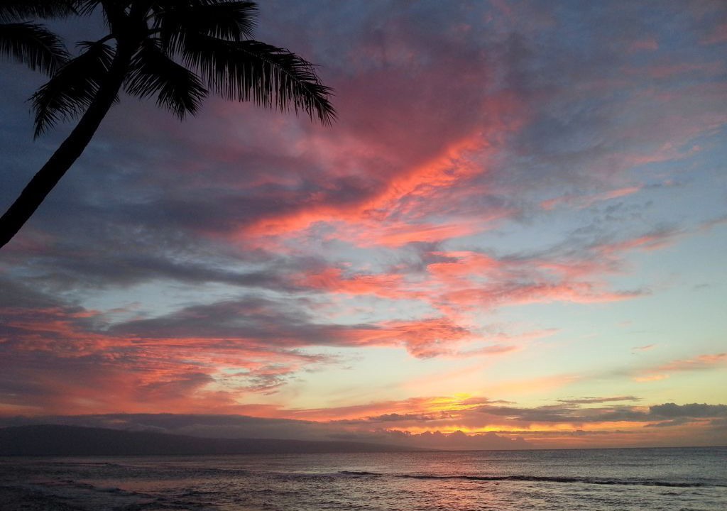 Photo of Others in Honokowai