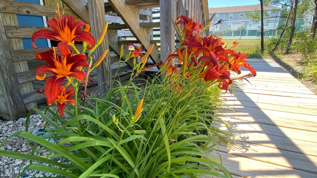 Photo of Outdoor in Ocean Sands