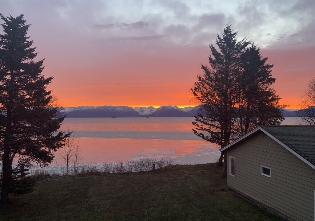 Photo of Others in Homer