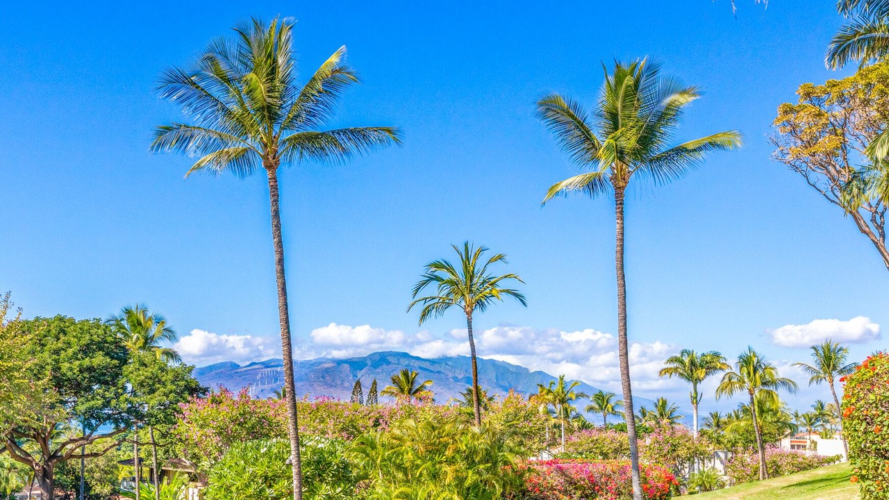 Photo of Others in Wailea