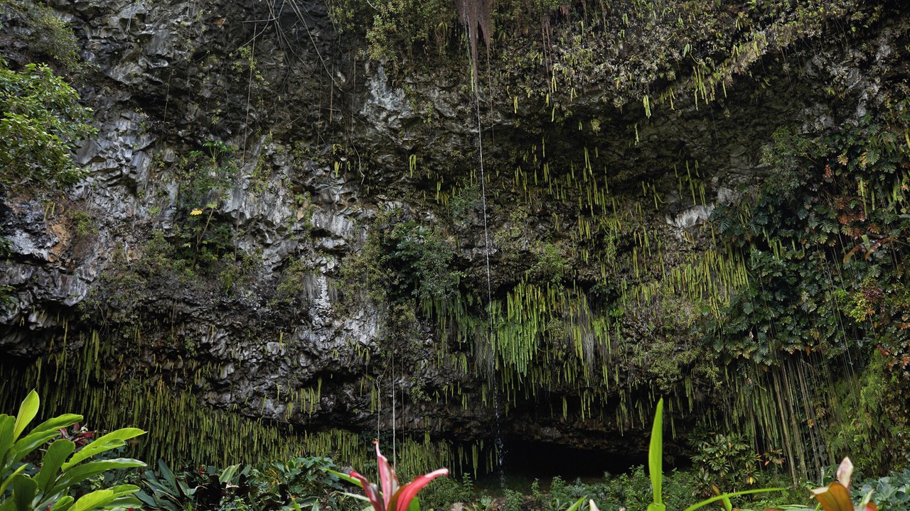 Photo of Others in Hanamaulu