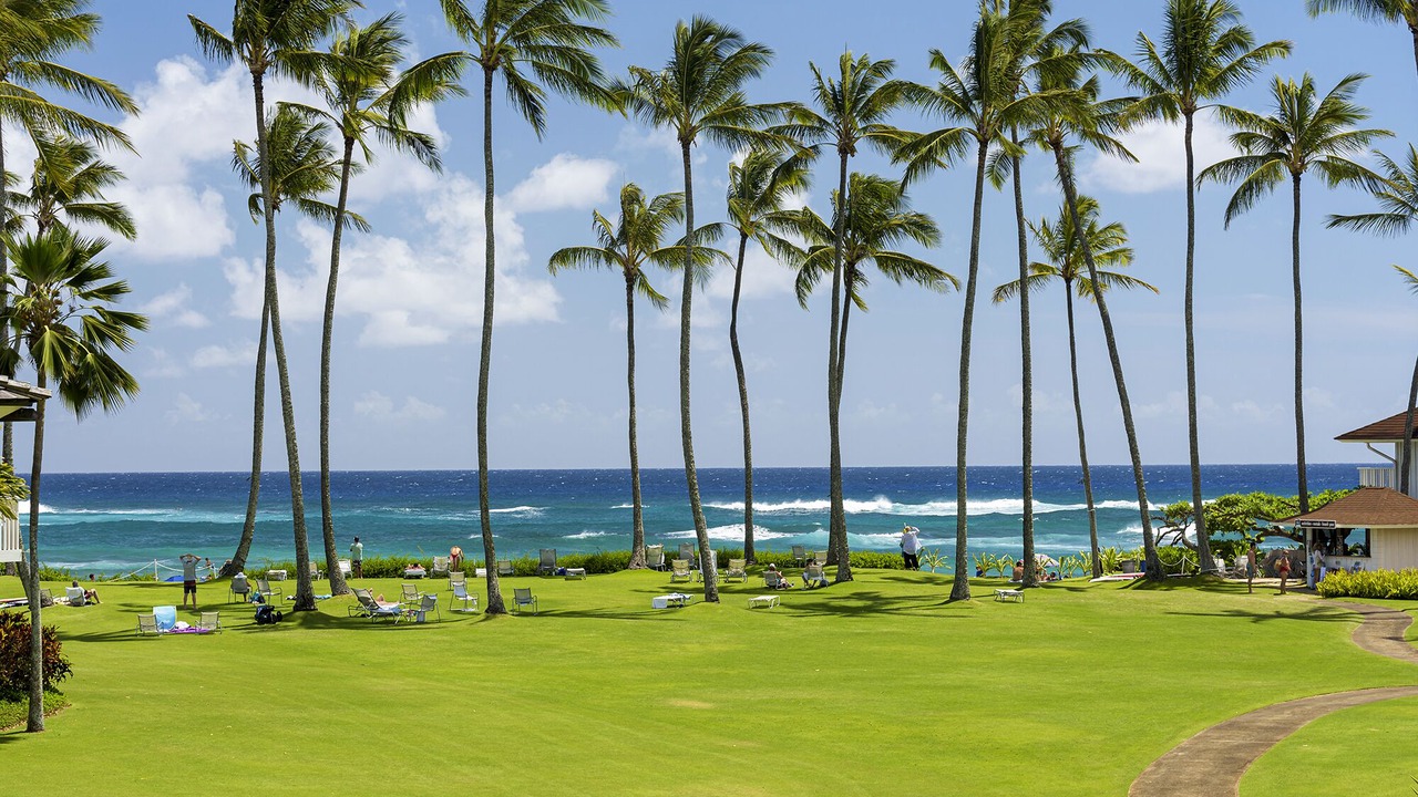 Photo of Others in Poipu