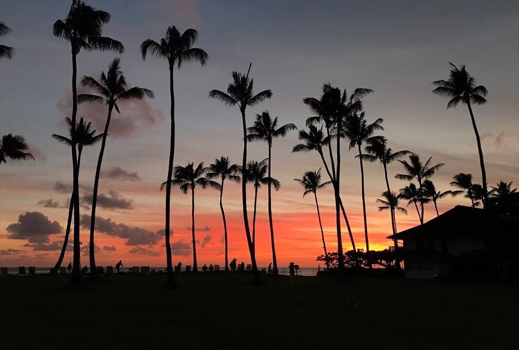 Photo of Others in Poipu