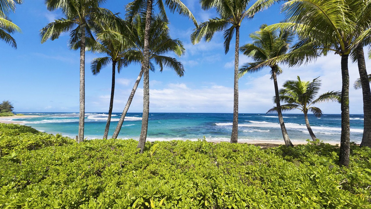 Photo of Others in Wainiha