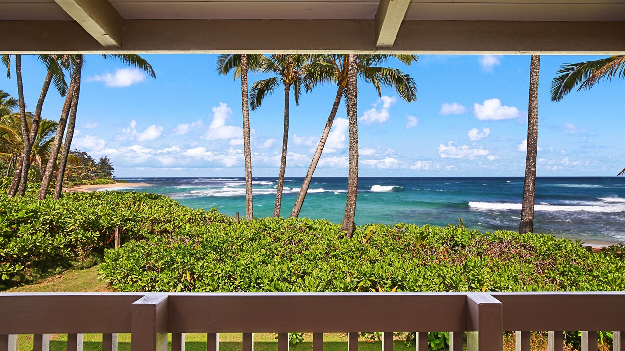 Photo of Others in Wainiha