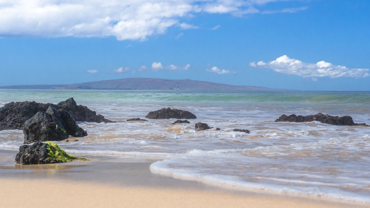 Photo of Others in Kihei
