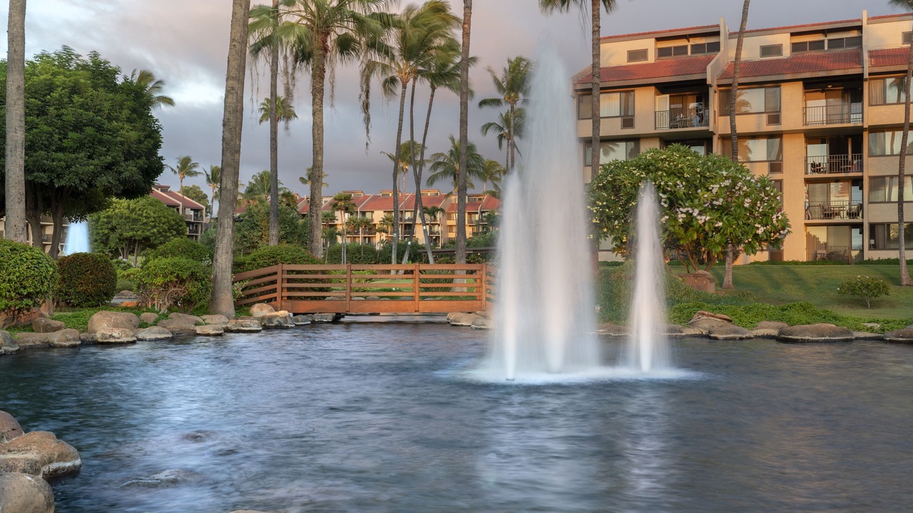 Photo of Outdoor in Kihei
