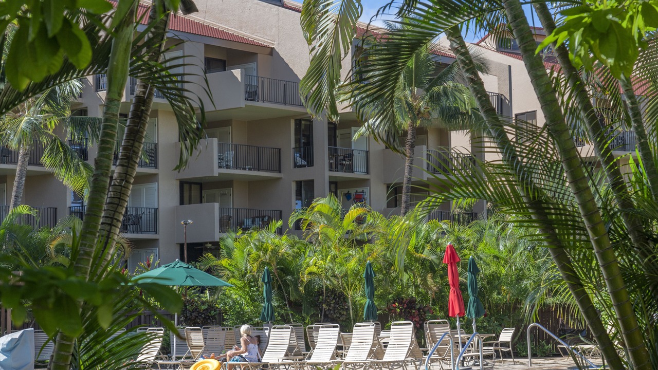 Photo of Outdoor in Kihei