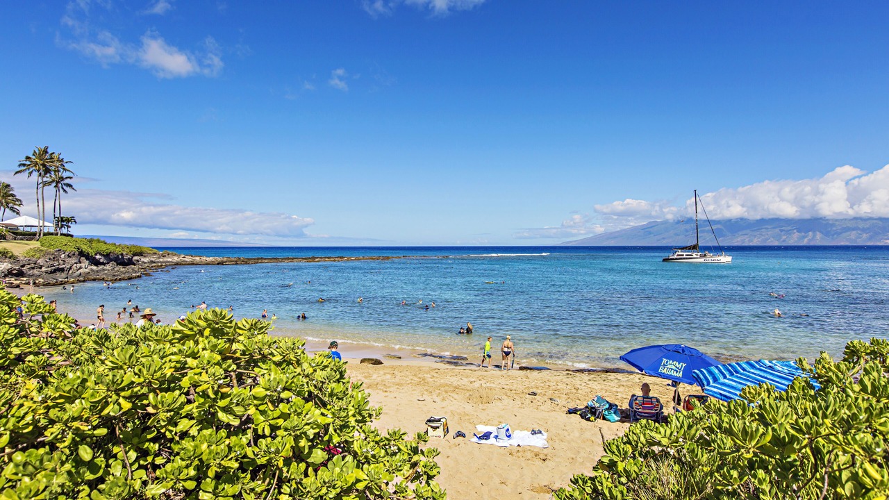 Photo of Others in Napili