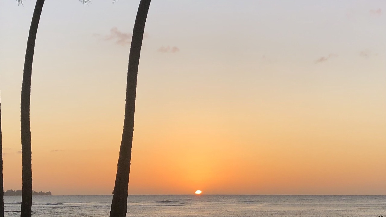 Photo of Others in Kapaa