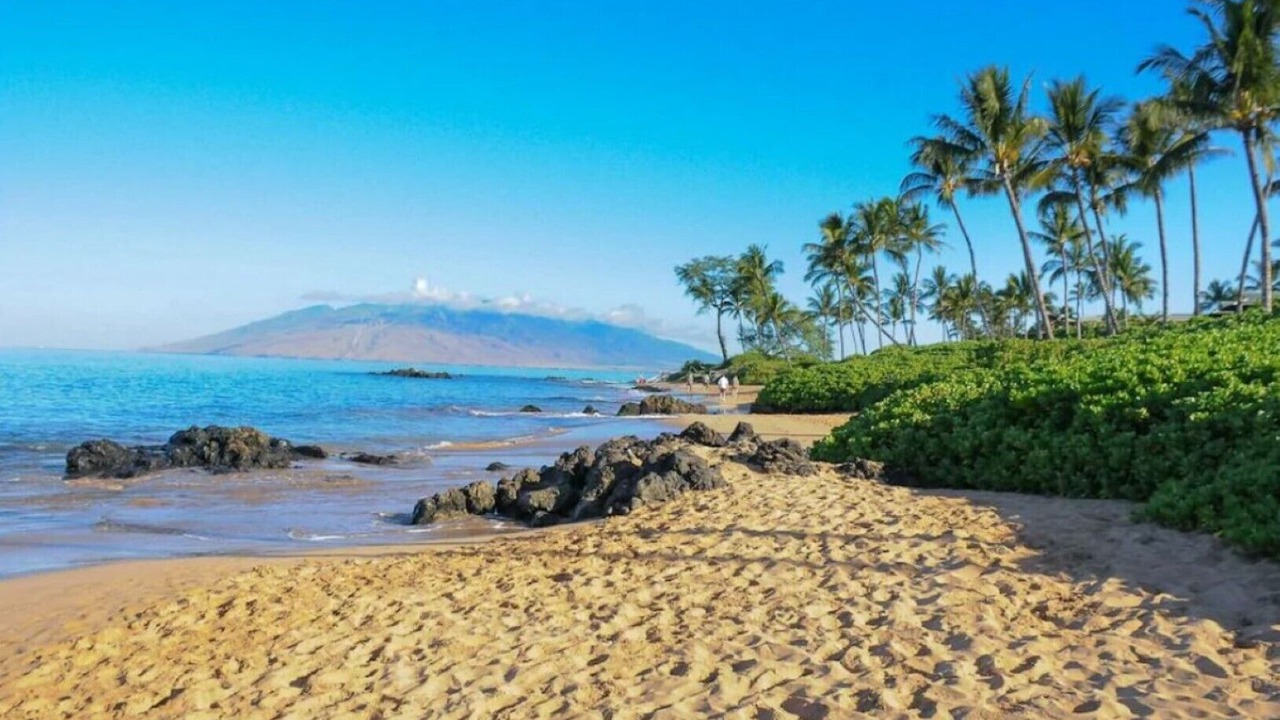 Photo of Others in Wailea