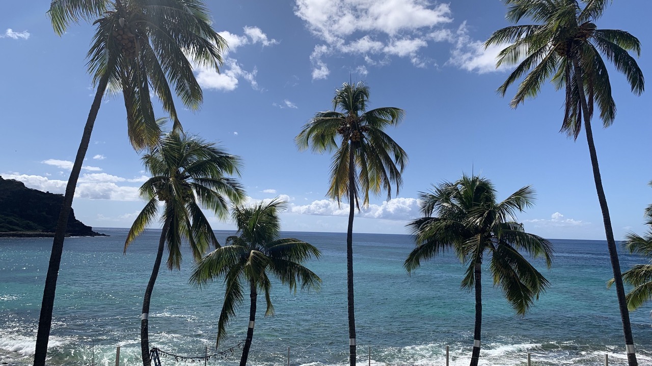 Photo of Others in Makaha