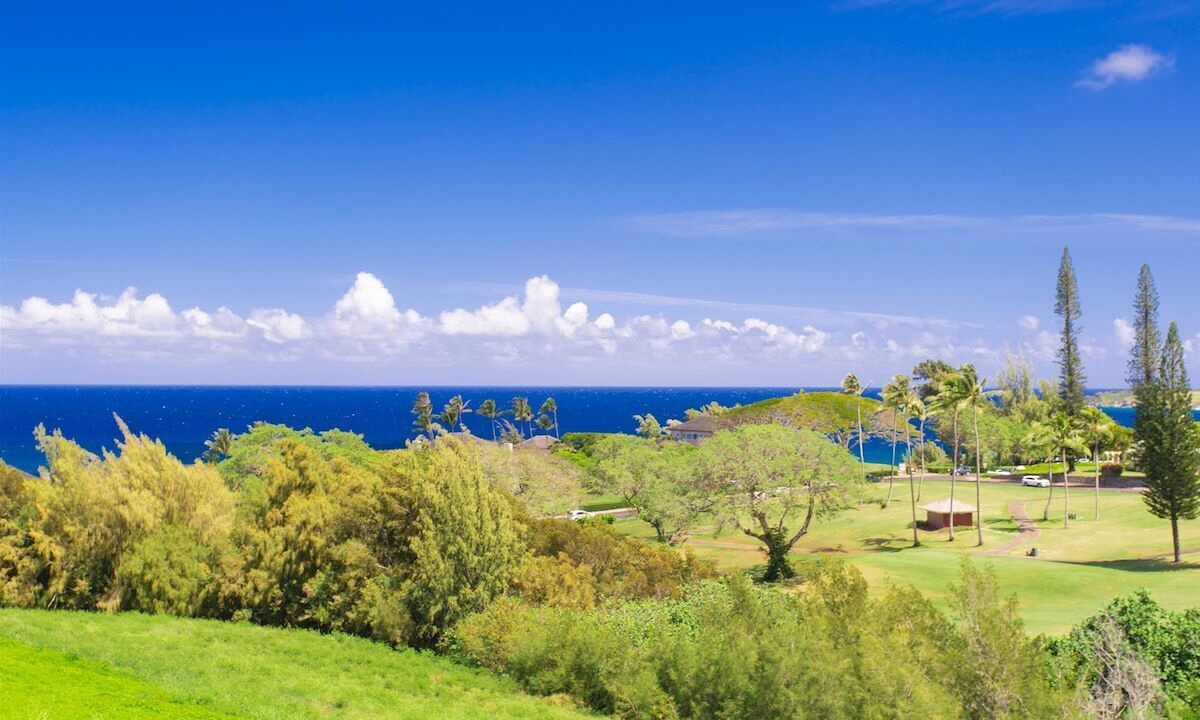 Photo of Others in Kapalua