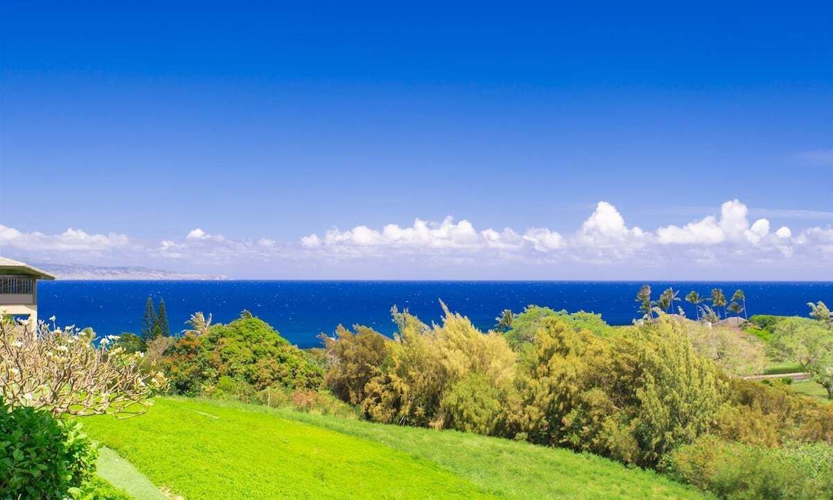 Photo of Others in Kapalua