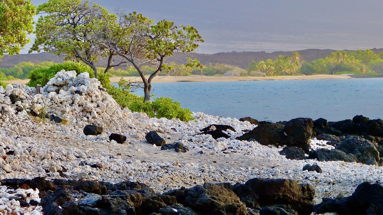 Photo of Others in Waikoloa