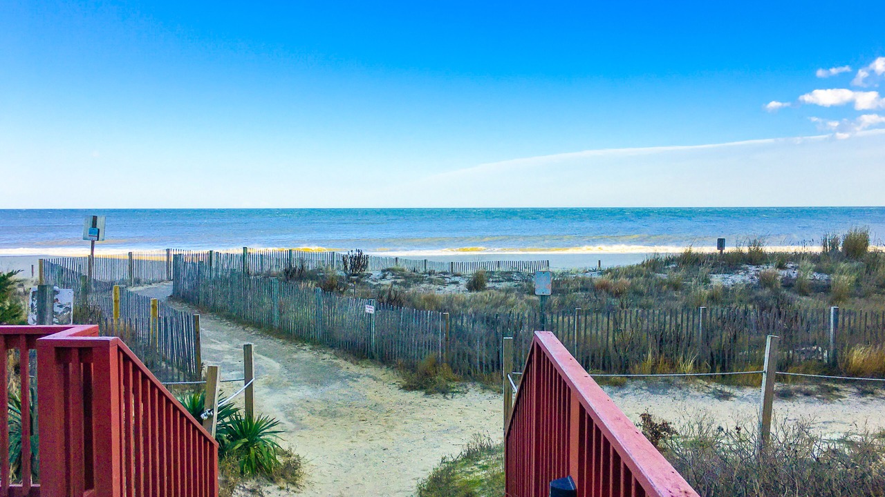 Photo of Others in North Ocean City