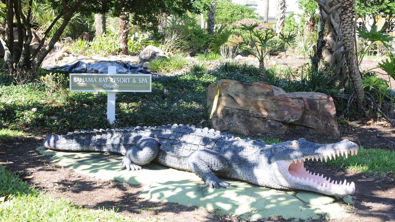 Photo of Outdoor in Bahama Bay