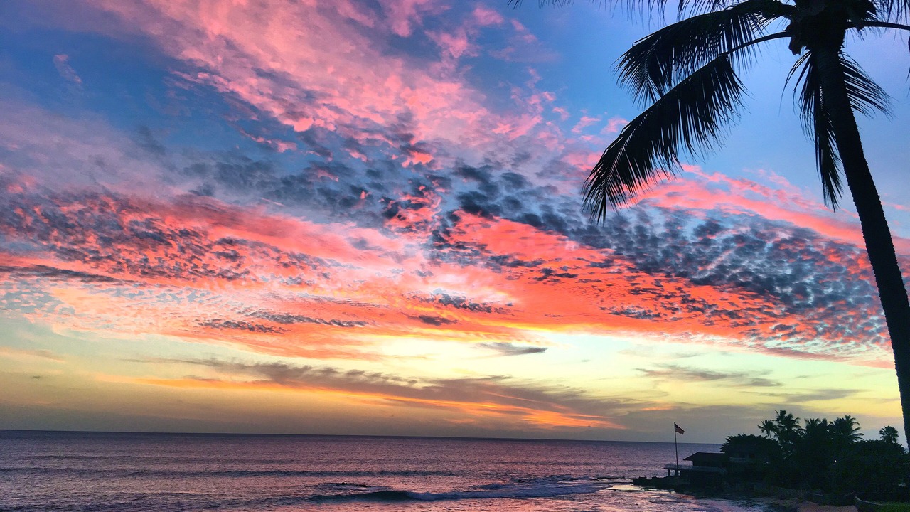 Photo of Others in Makaha