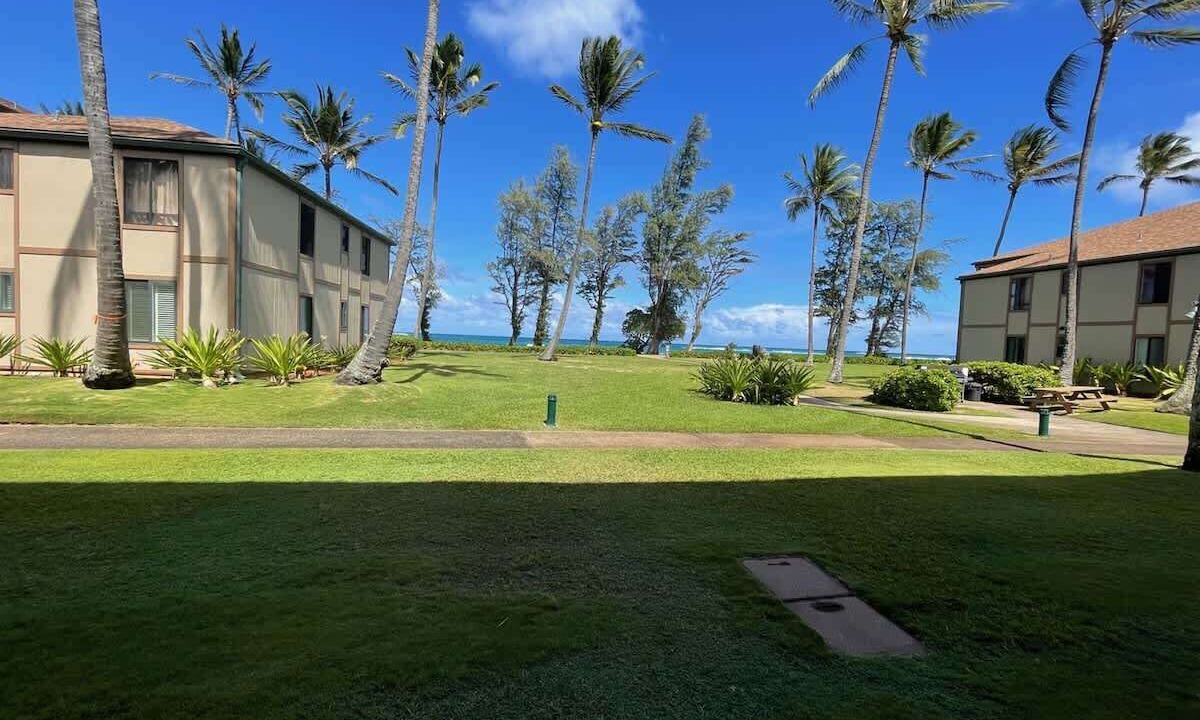 Photo of Outdoor in Kapaa