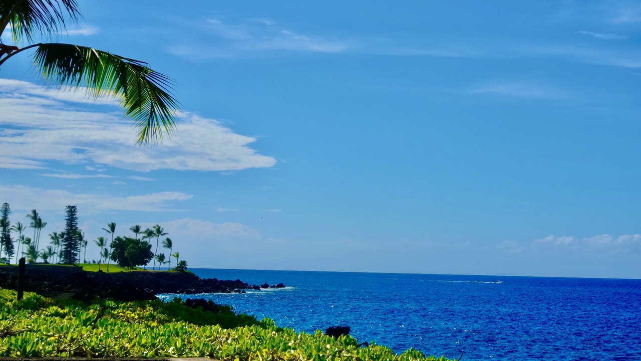 Photo of Others in Kahaluu-Keauhou