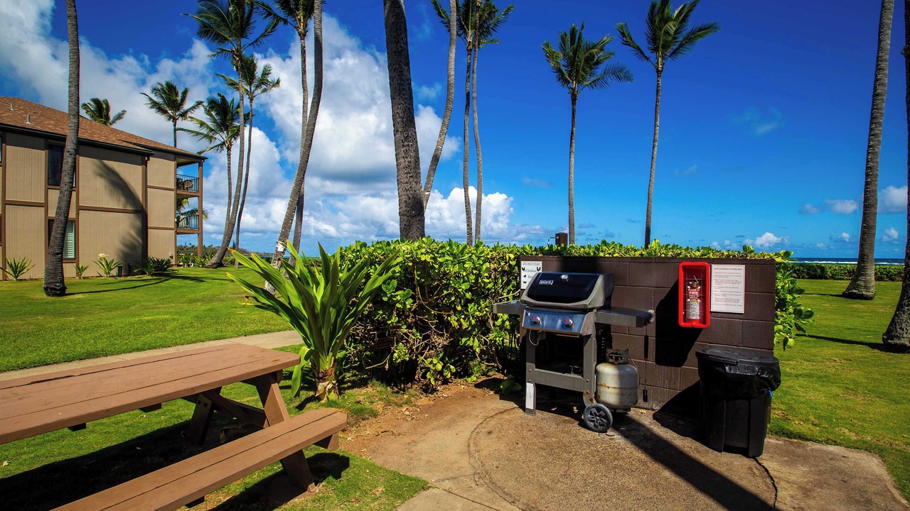 Photo of Outdoor in Kapaa