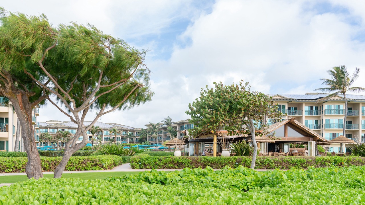 Photo of Others in Wailua