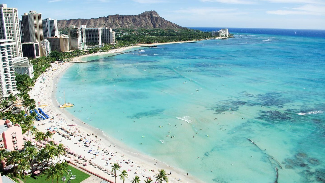 Photo of Others in Waikiki