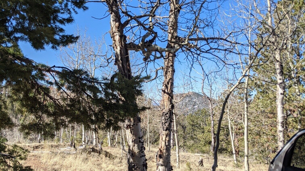Photo of Outdoor in Cripple Creek