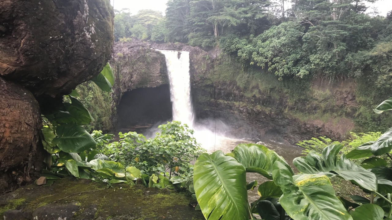Photo of Outdoor in Keaau