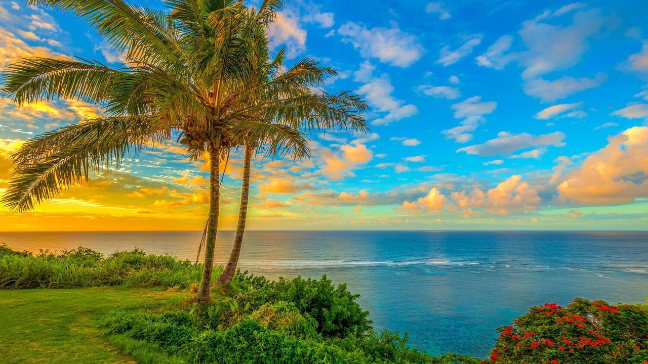Photo of Others in Princeville