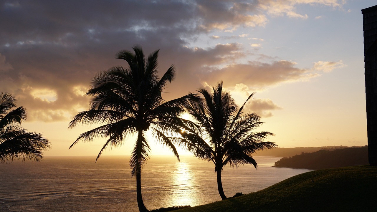 Photo of Others in Princeville
