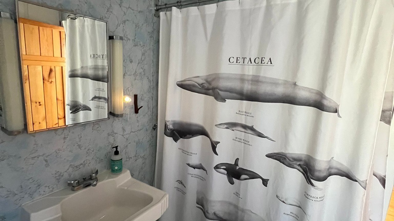 Photo of Bathroom in Winter Harbor