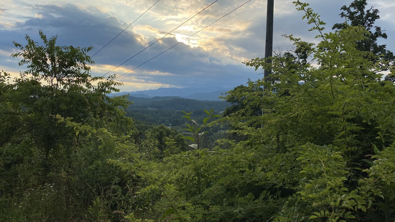 Photo of Others in Qualla
