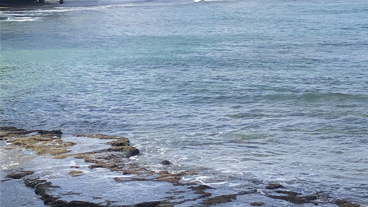 Photo of Others in Diamond Head - Kapahulu - St. Louis